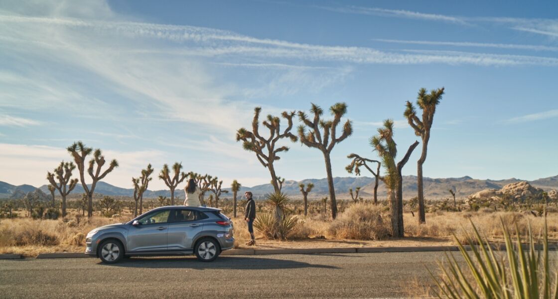 Joshua tree park