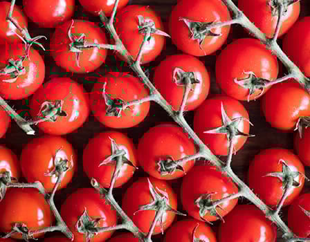 cocktail tomatoes