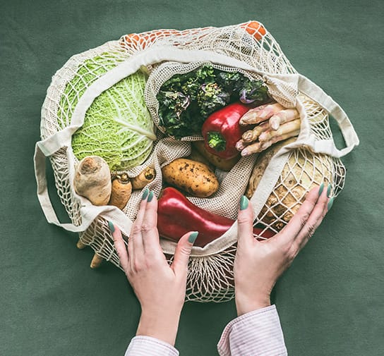 vegetables in net bag