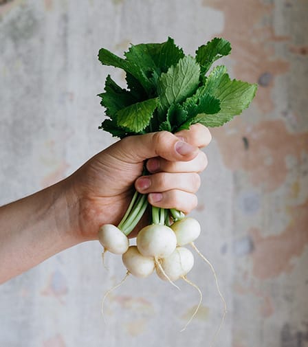 white hailstone radish