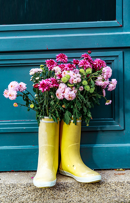 flowers in rain boots