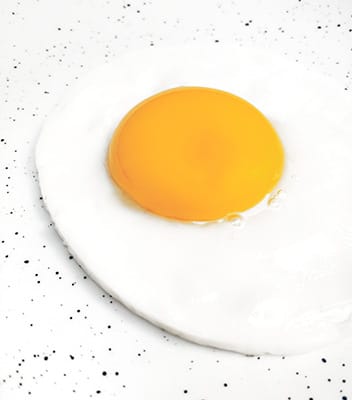 fried egg