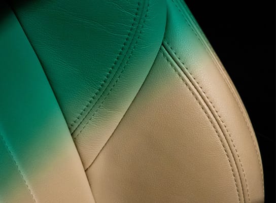 mushroom leather