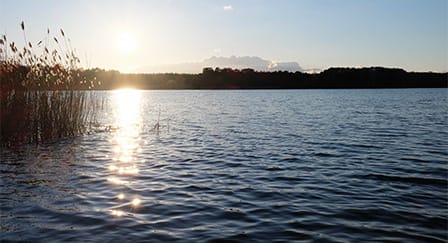 Hyundai Power of Water challenge: cold swim in lake Bernsteinsee