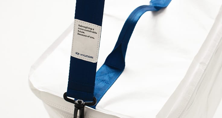 seat belt