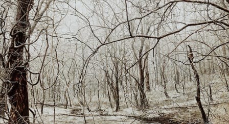 landscape acrylic