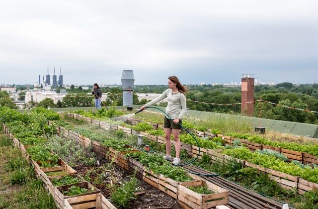 Urban Gardening () Urban Gardening
