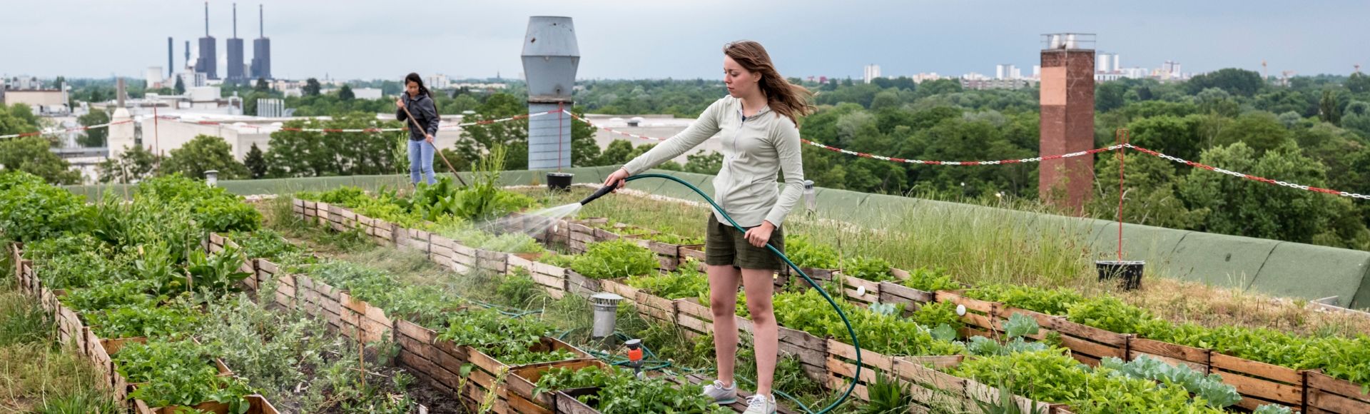 도심 한가운데 자리한 아파트 건물 옥상에 마련된 도심 농장에서 두 여성이 식물을 돌보고 있습니다.