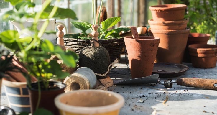 A shelf covered in terracotta plant pots, a roll of gardening twine, small green plants in pots and a metal trowel.