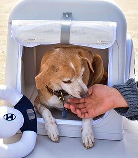 Hyundai Brand Collection. Sustainable Comforts for Everyday Life.