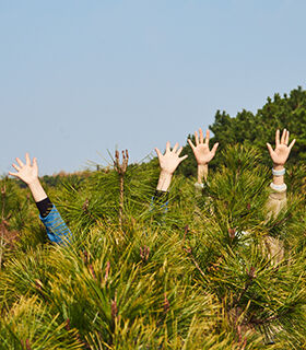 IONIQ Forest Sinsido Project: Planting trees for the next generation