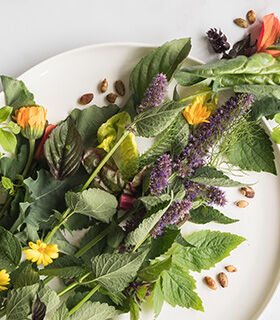 Sustainable Stars: How to support the earth with your food choices
