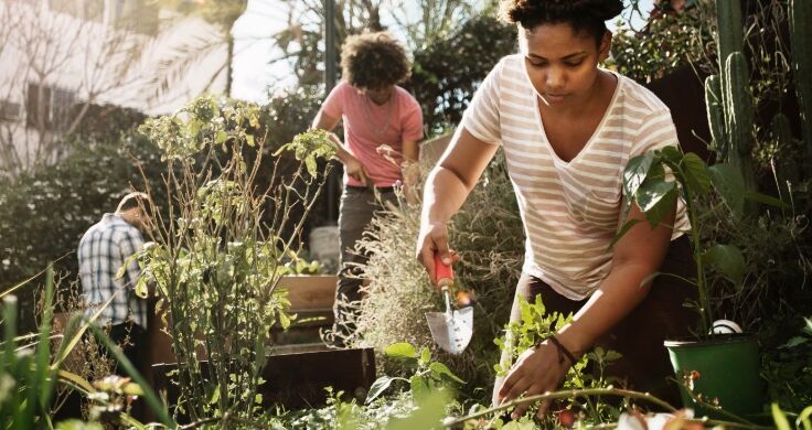 How to create your own urban garden