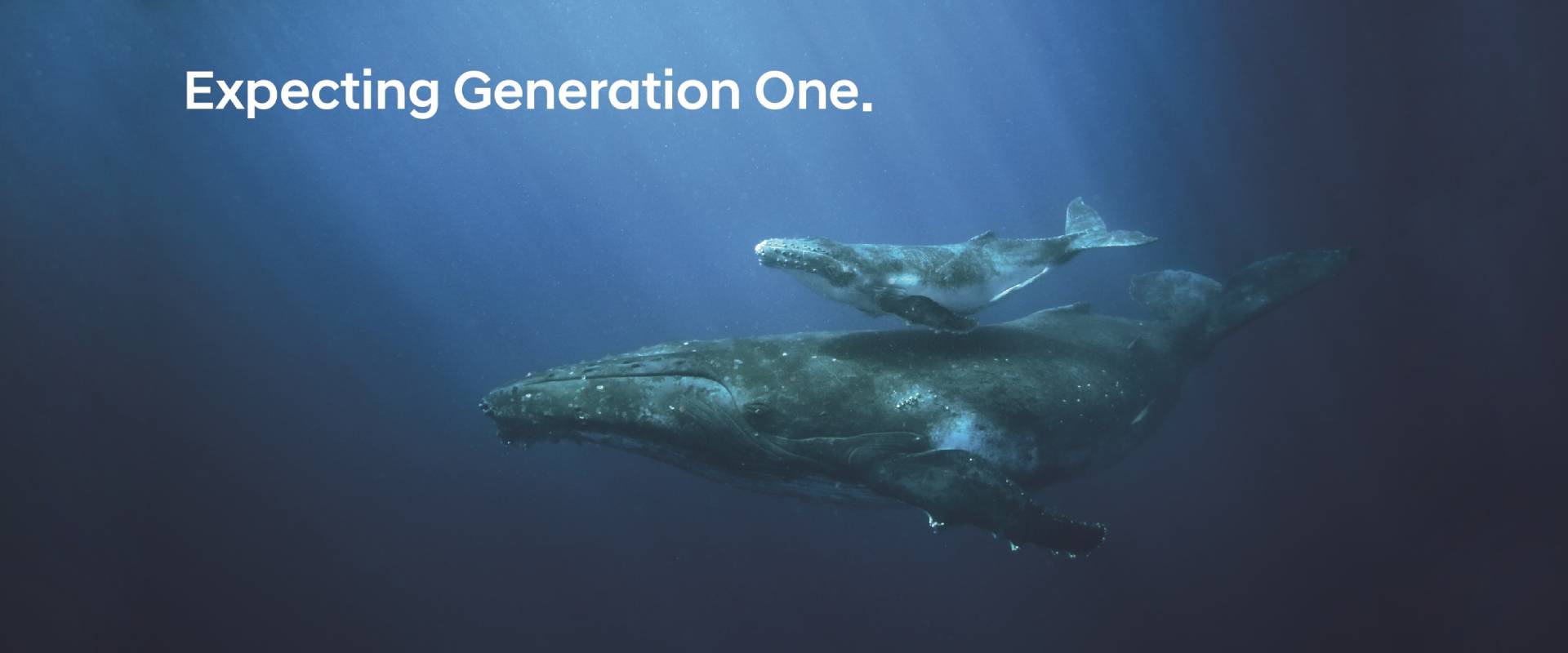 Hyundai Motor Signals Carbon Neutral Commitment through New ‘Expecting Generation One’ Campaign