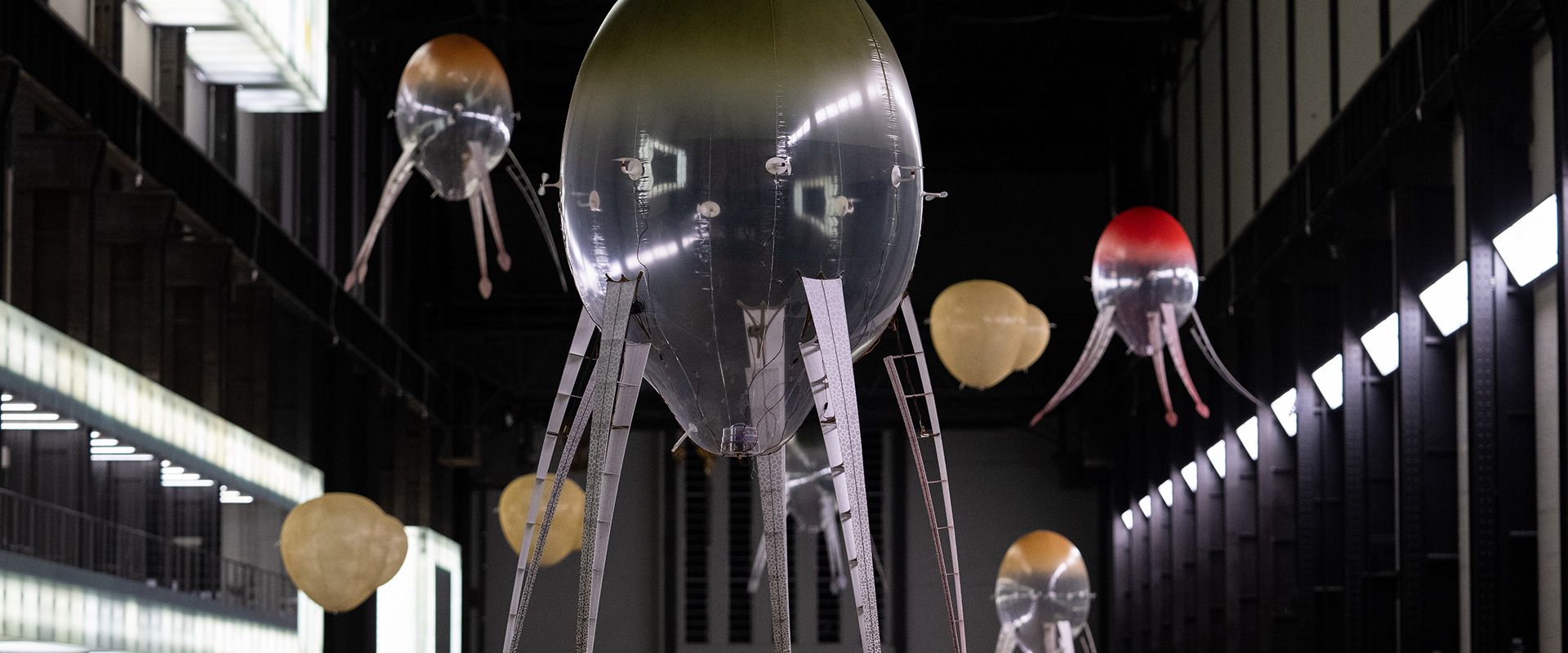 Hyundai Motor and Tate Announce the Opening of the Hyundai Commission: Anicka Yi: In Love With The World