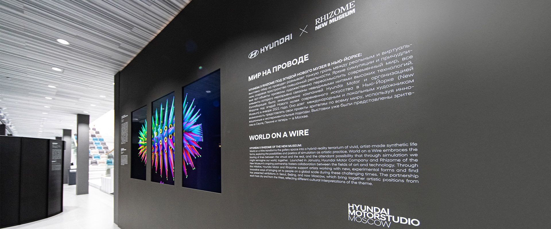 Digital Art Exhibition “World on a Wire” Opens at Hyundai Motorstudio Moscow