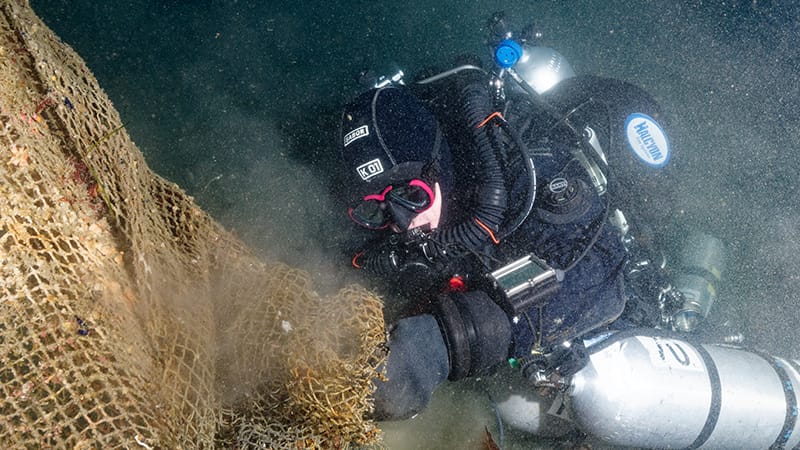 Hyundai Strengthens Sustainability Commitment with Healthy Seas and Ghost Diving USA Partnership 