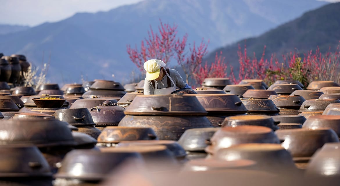 Kimchi: A Korean Culinary Triumph