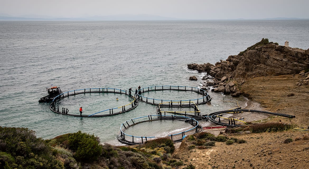 Credits_Cor Kuyvenhoven