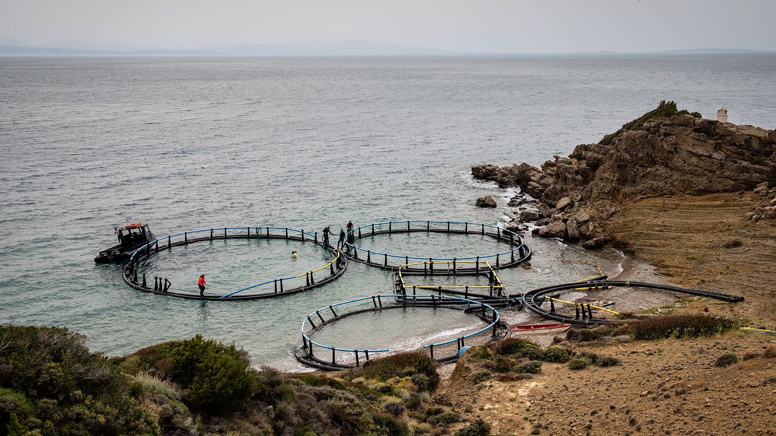 Photo Credit: @Volunteer Divers of Ghost Diving Group