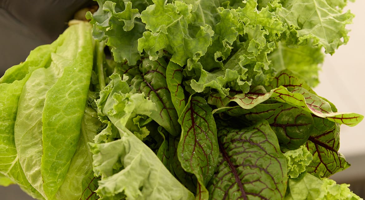 Hyundai Motor Group and three-Michelin-Star chef Corey Lee open new restaurant Na Oh in Singapore at HMGICS