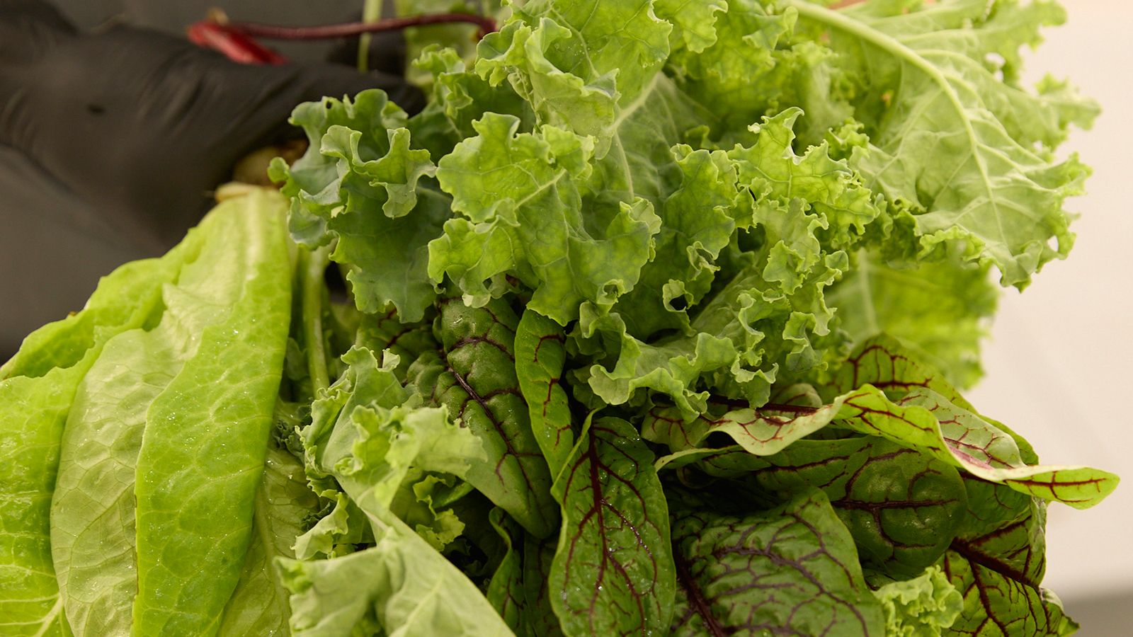 Hyundai Motor Group and three-Michelin-Star chef Corey Lee open new restaurant Na Oh in Singapore at HMGICS