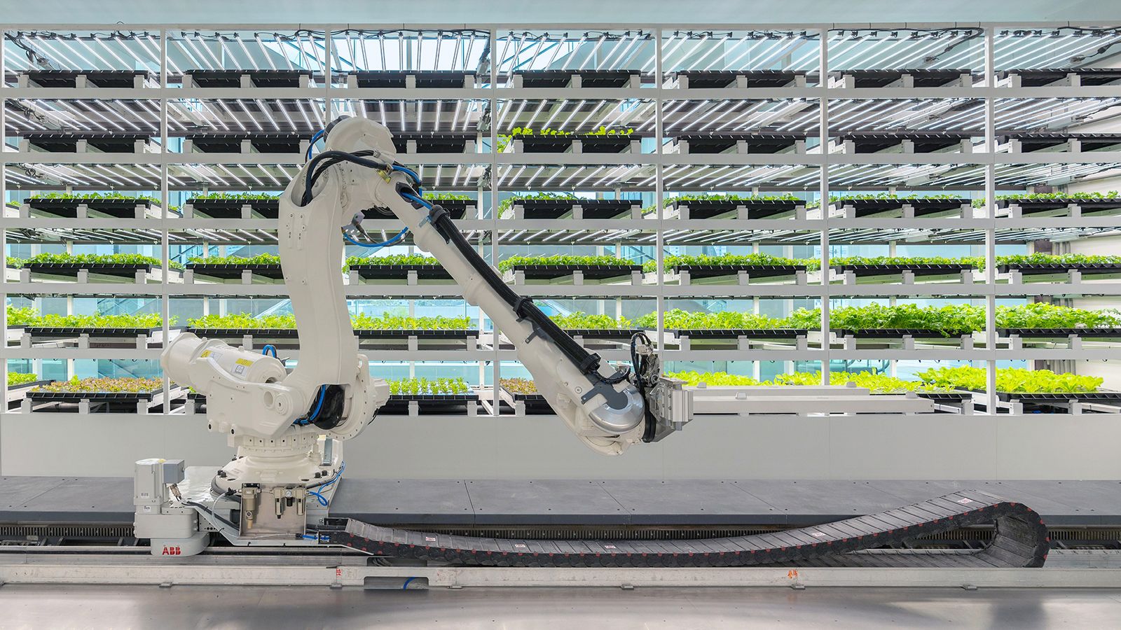 Hyundai Motor Group and three-Michelin-Star chef Corey Lee open new restaurant Na Oh in Singapore at HMGICS