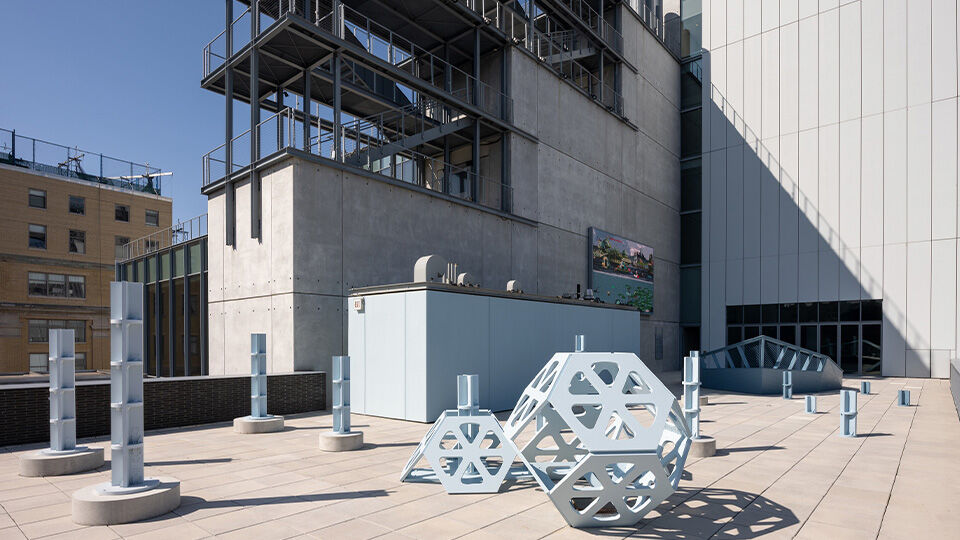 Hyundai Motor and Whitney Museum Present Work by Marina Zurkow as the Second Hyundai Terrace Commission