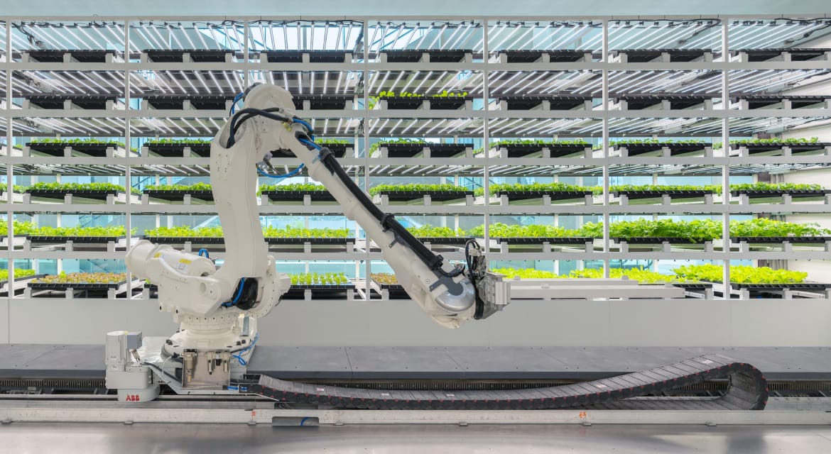 HMGICS has been awarded Gold for ‘Best PR Campaign: F&B’ at PR Awards 2025 in recognition of communications campaign for Na Oh, led by chef Corey Lee