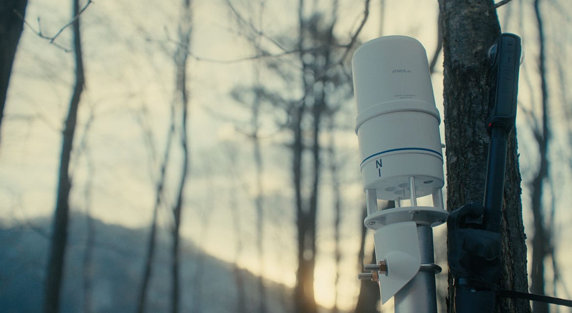 Hyundai Motor's brand campaign, Tree Correspondents