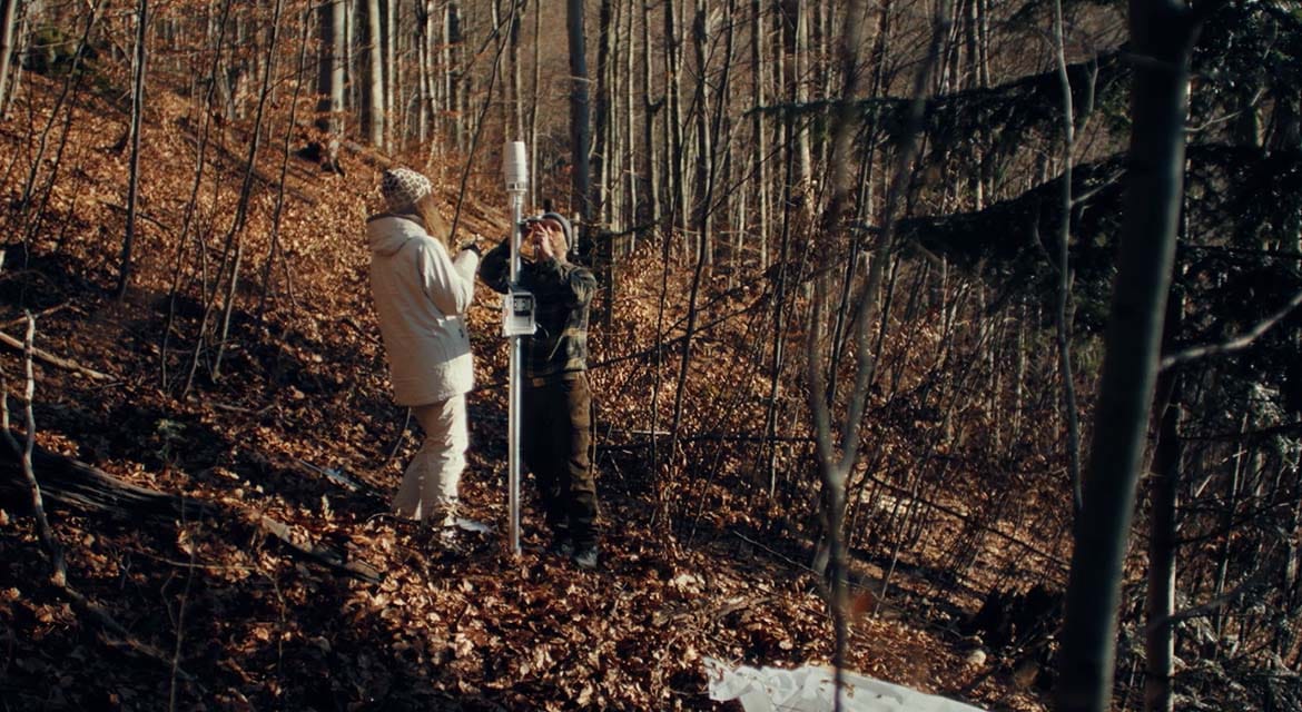 Hyundai Motor's brand campaign, Tree Correspondents