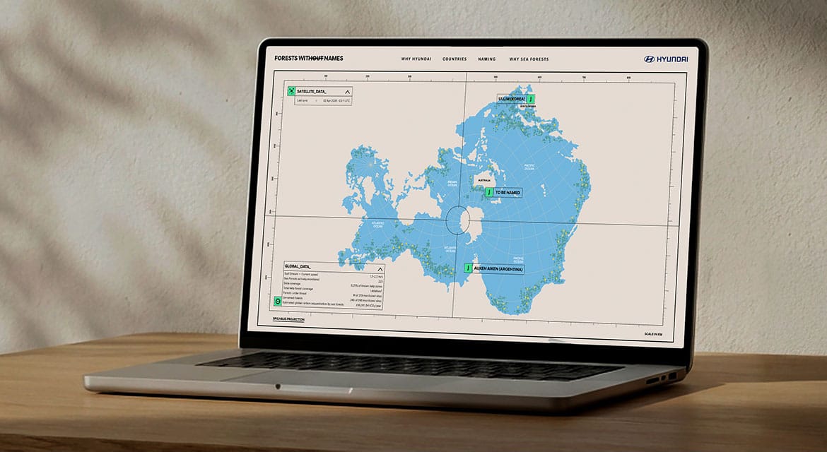 'Forest Without Names' Website