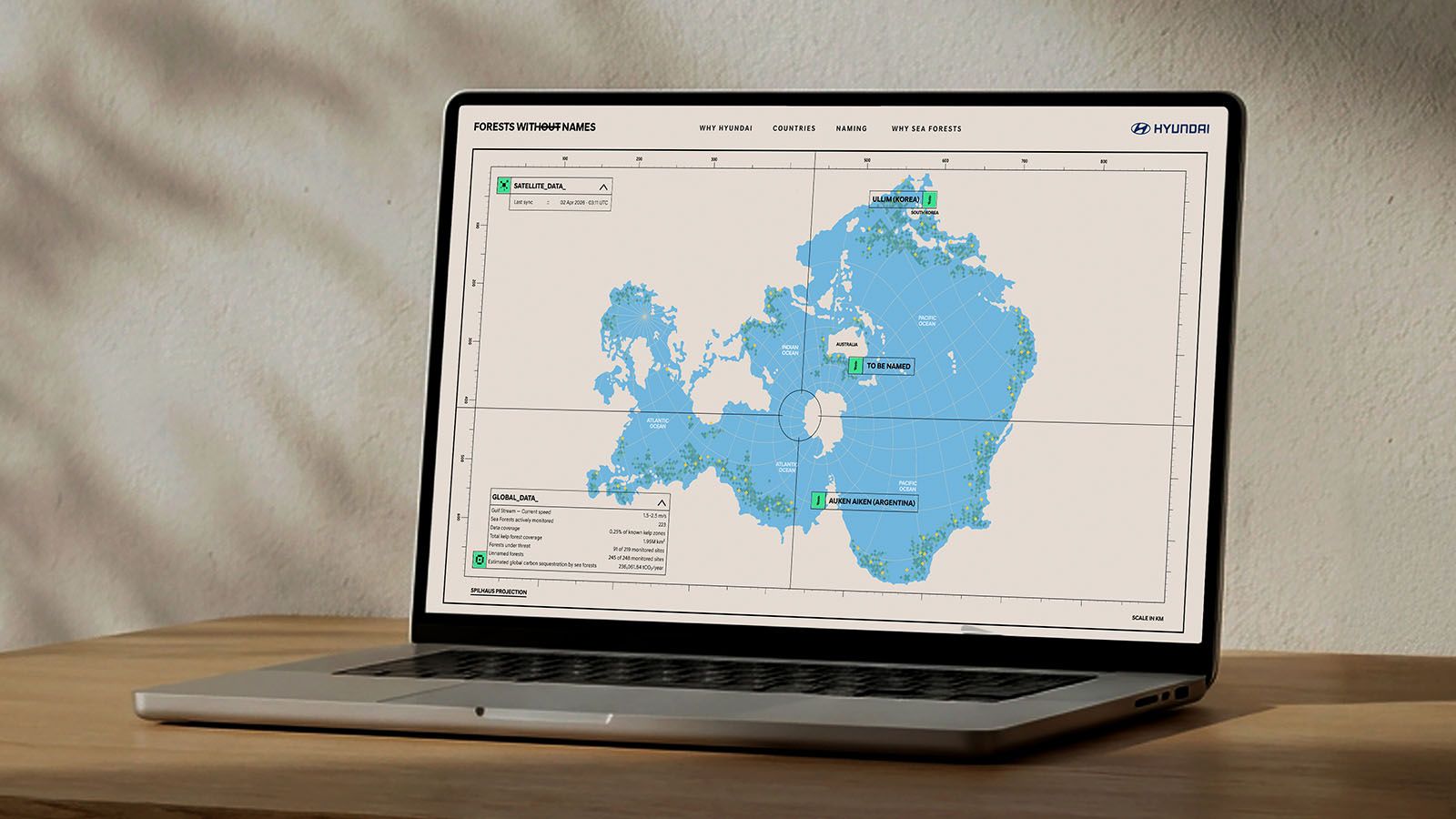 'Forest Without Names' Website