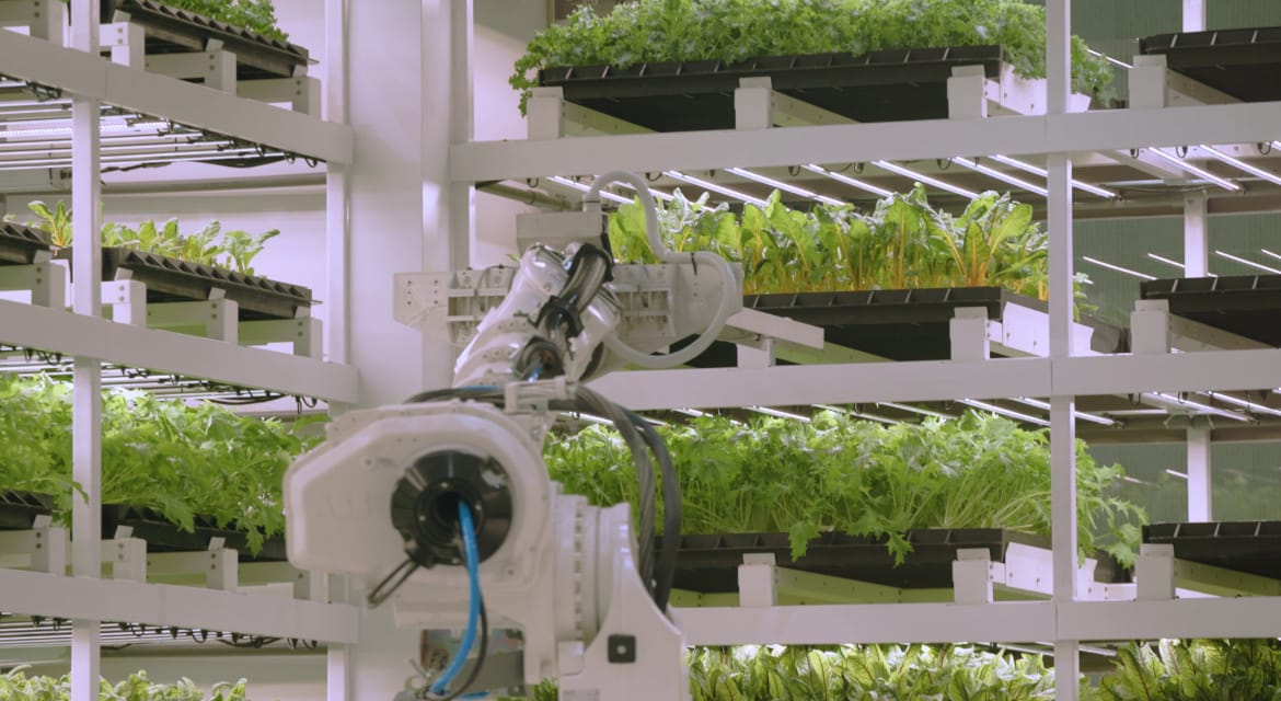 Tucked inside a facility built for robotics and vehicle assembly is a fully automated indoor farm where leafy greens grow under climate-controlled conditions, untouched by weather, pests or soil.