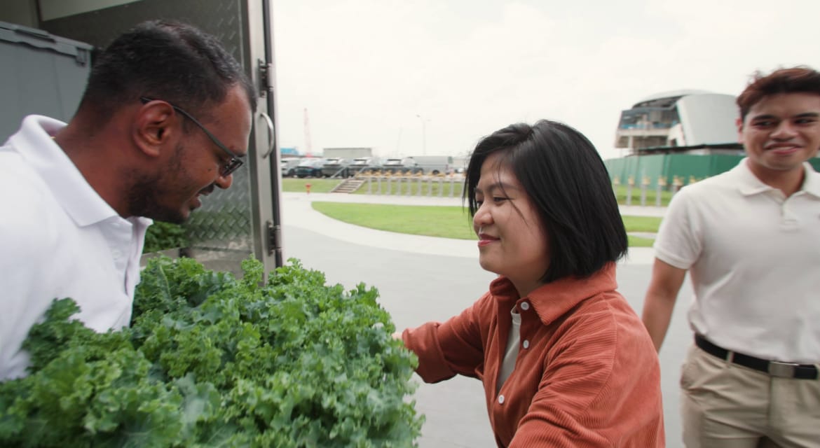 “Each week, a refrigerated food truck arrives at HMGICS to collect the vegetables and transport them to a Thye Hua Kwan Moral Charities (THKMC) distribution center.”