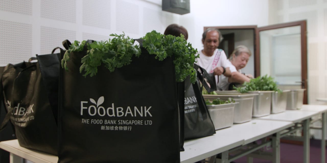 The numbers are modest by agricultural standards — this is not a farm trying to feed a nation. “They were very appreciative of our donations because it was not often that they got to have access to fresh vegetables that were actually grown in Singapore.”