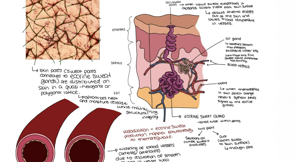 HMG and RISD Collaborate on Regenerative Biodesign Strategies and the Future of Mobility