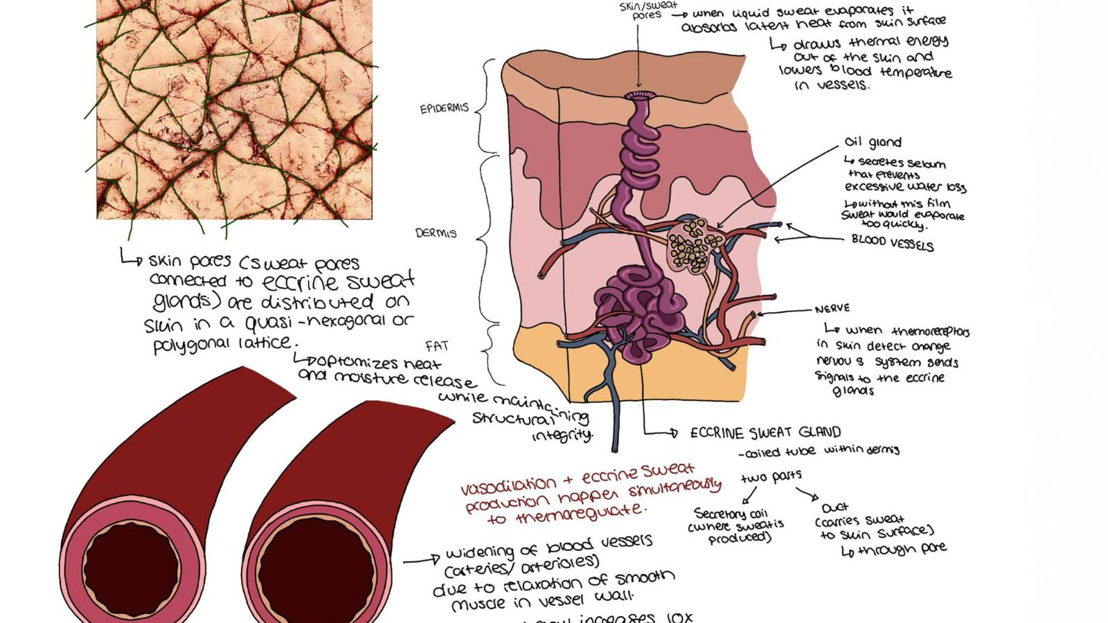HMG and RISD Collaborate on Regenerative Biodesign Strategies and the Future of Mobility