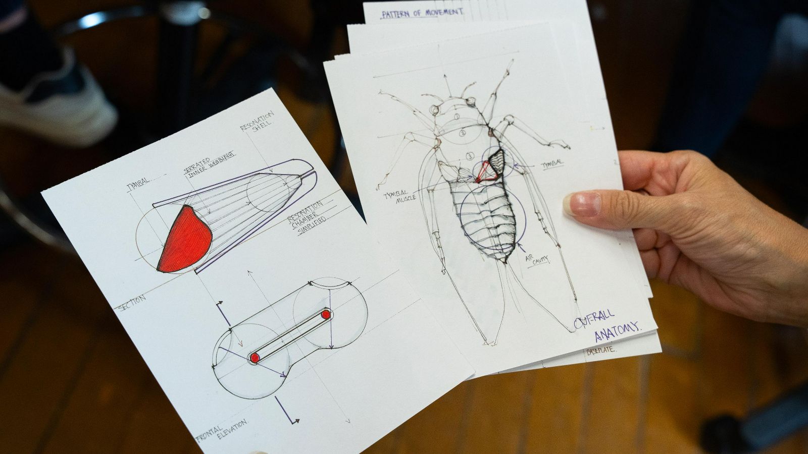 HMG and RISD Collaborate on Regenerative Biodesign Strategies and the Future of Mobility