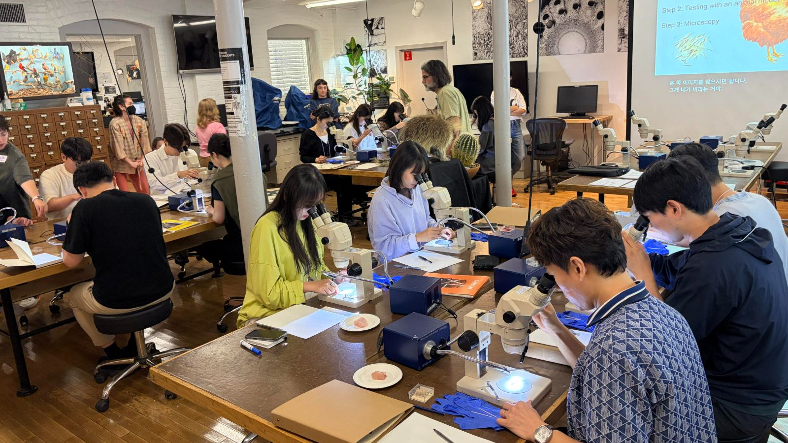 HMG and RISD Collaborate on Regenerative Biodesign Strategies and the Future of Mobility