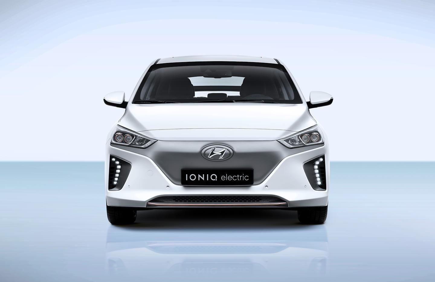 IONIQ Electric (1)