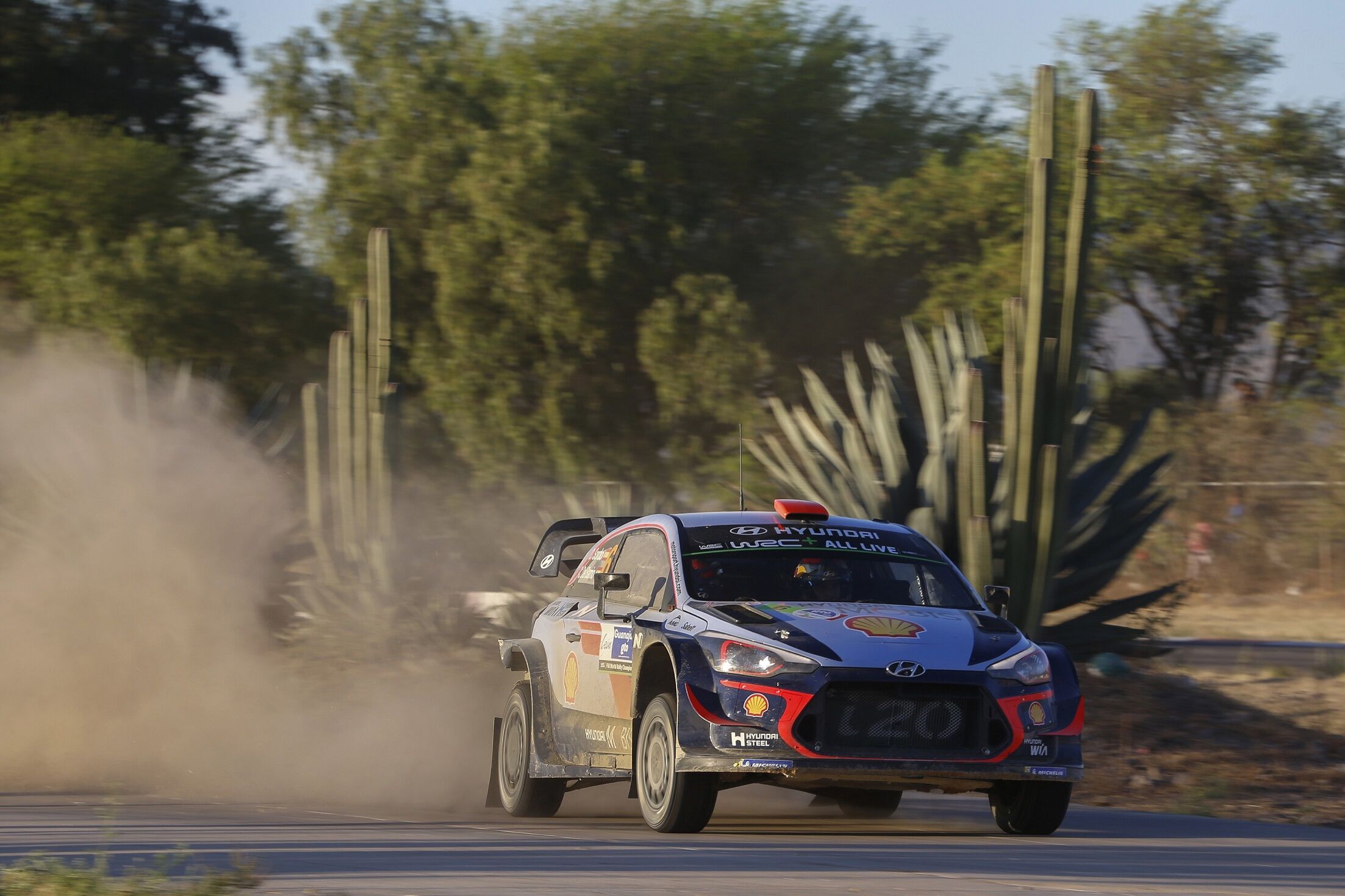 Rally Mexico Day3 Report
