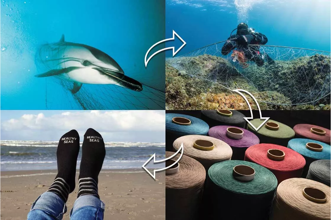 (Video) Hyundai Motor partners with Healthy Seas to foster a sustainable future