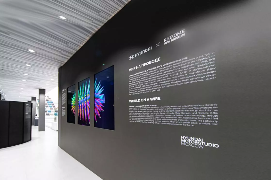 Digital Art Exhibition “World on a Wire” Opens at Hyundai Motorstudio Moscow