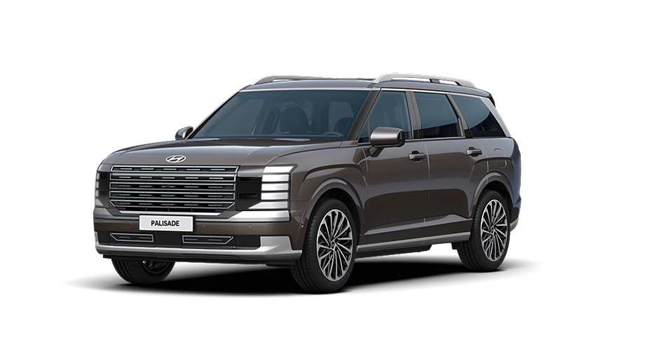 2025 팰리세이드 브라운펄