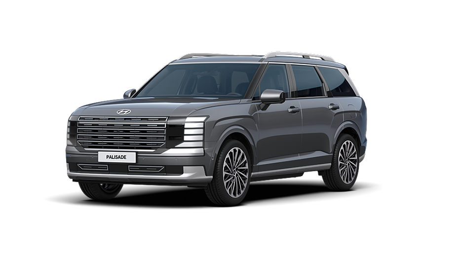 2025 팰리세이드 그레이 펄