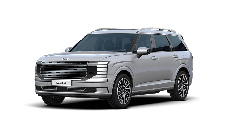 2025 팰리세이드 실버 펄 색상