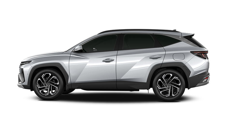 쉬머링 실버 메탈릭 (Shimmering Silver Metallic) 쉬머링 실버 메탈릭 (Shimmering Silver Metallic)