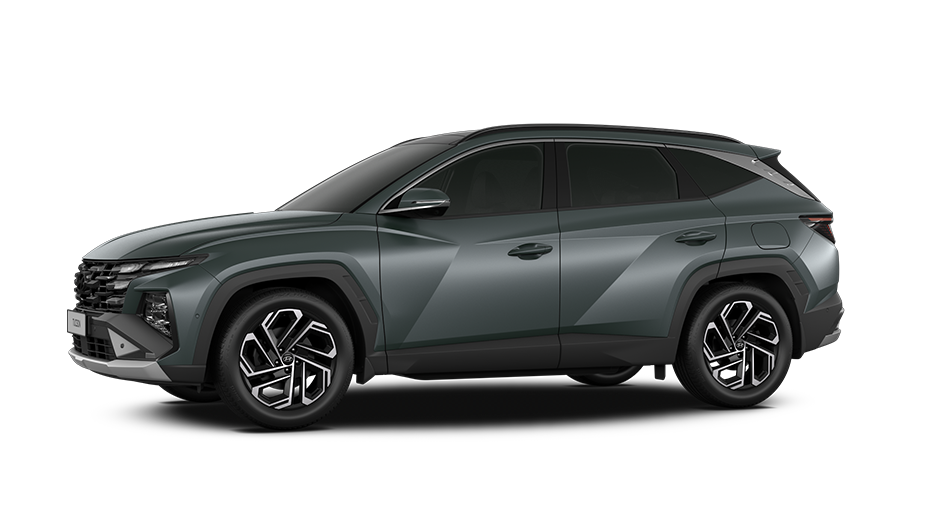 파인 그린 매트 (Pine Green Matte) 파인 그린 매트 (Pine Green Matte)