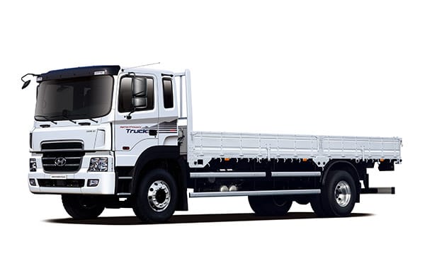 뉴파워트럭 4x2 카고